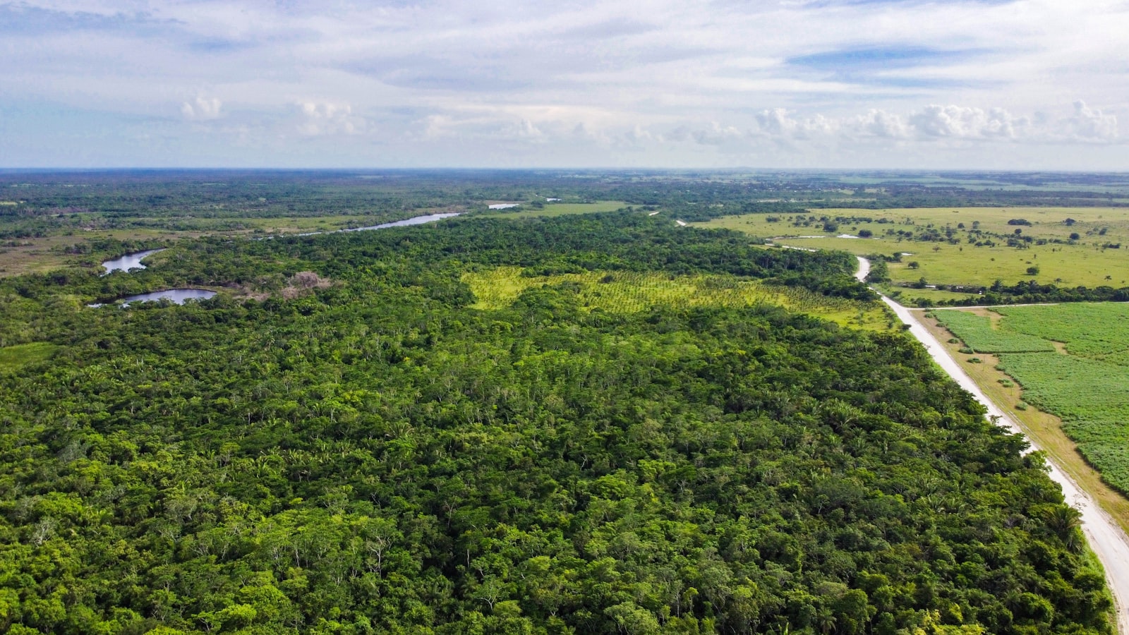 Forêt et collines de Guinée, terrain minier à ouvrir