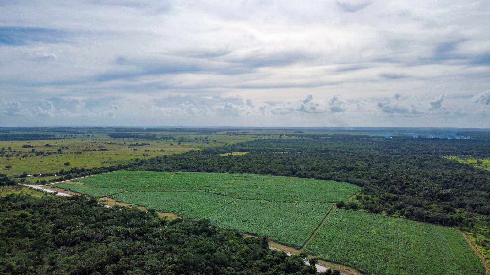 Plaine lateritique sous un ciel de saison sèche en Guinée